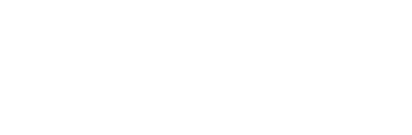 Q&A